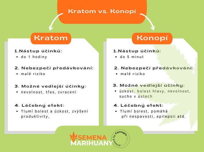 Kratom vs. konopí - porovnání účinků